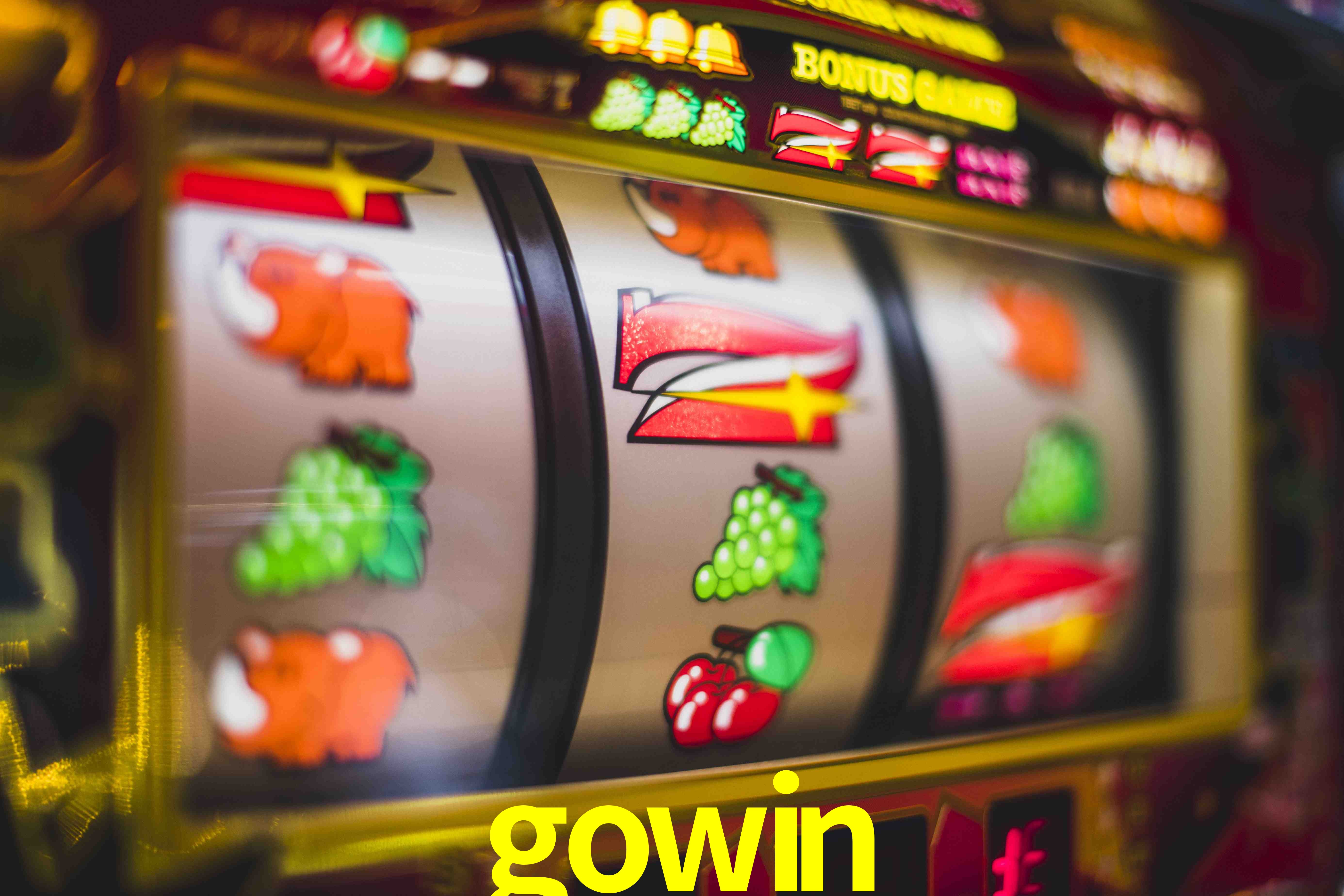 Tennis Betting gowin